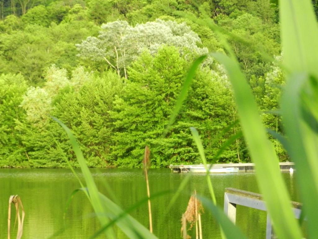 Gite Les Platanes Sainte-Helene-du-Lac Экстерьер фото